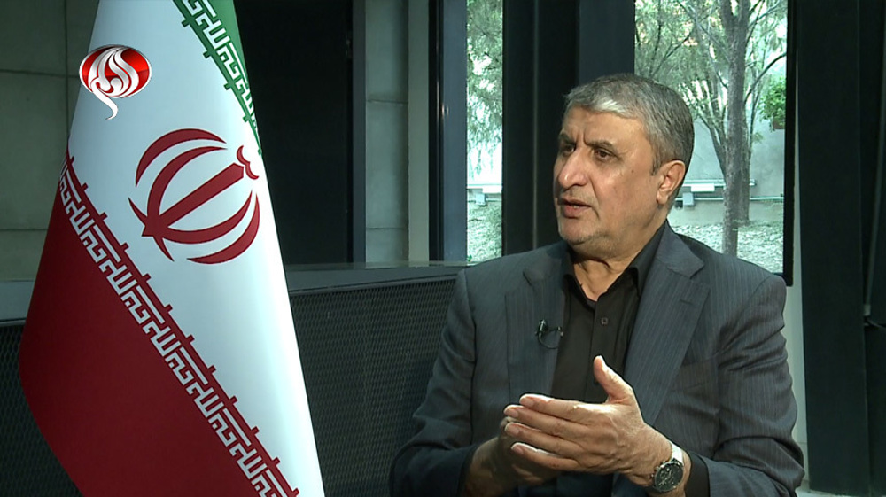 Nuclear weapons not in Iran’s defense doctrine, belief: AEOI chief