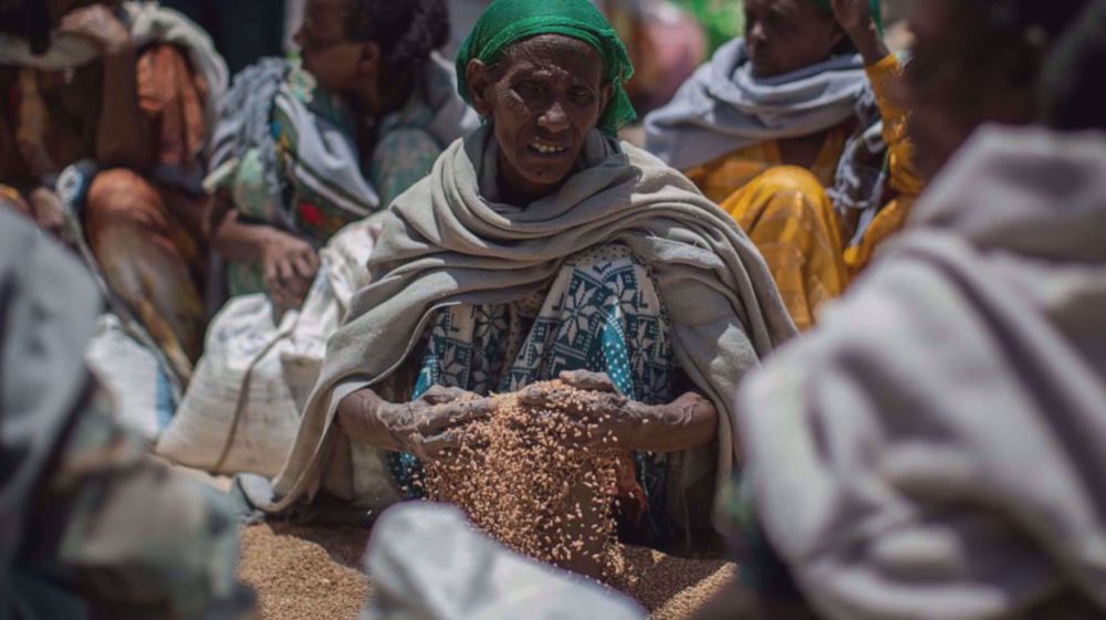 Aid agencies urge action on global hunger crisis 