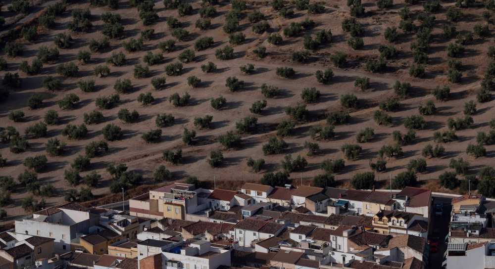 SPAIN-AGRICULTURE-WEATHER-DROUGHT
