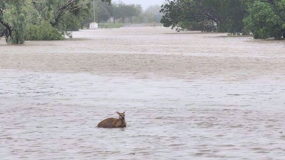 Western Australia in grip of emergency after 'devastating' floods 