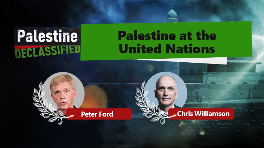 Palestine déclassifiée: la Palestine aux Nations unies