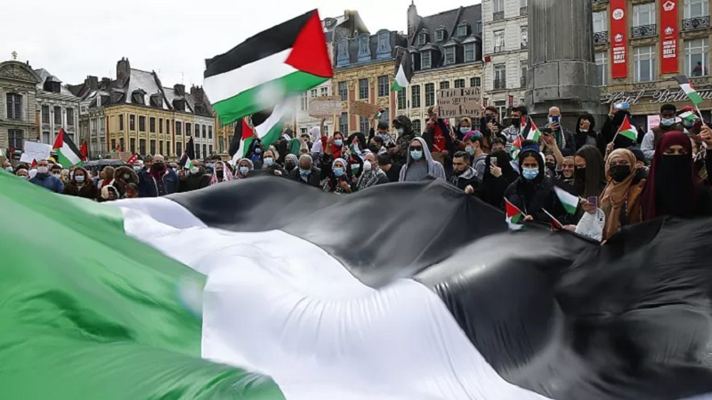 Despite being banned Pro Palestine protests took place in Paris