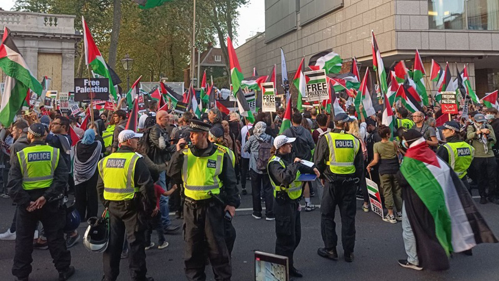 Pro Palestine protesters descend upon London, PM stands with Israel