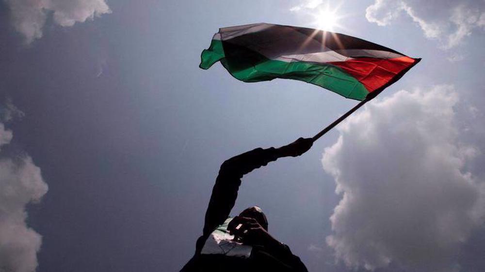 Pro-Palestine demonstrations take global stage