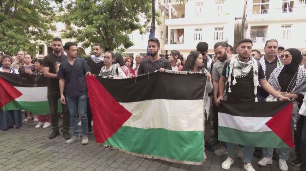 Hundreds gather in Cuba in a pro-Palestinian demonstration