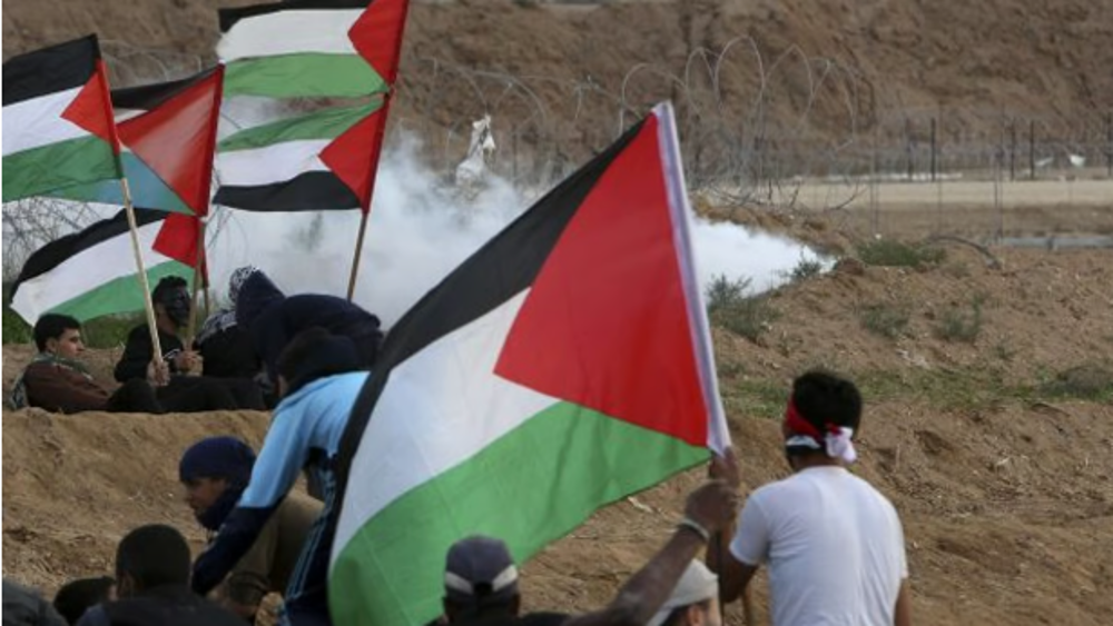 La guerre contre Gaza et le débat sur le fascisme israélien