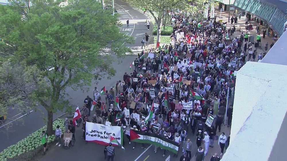 New Zealanders march in the capital to show support for Palestine