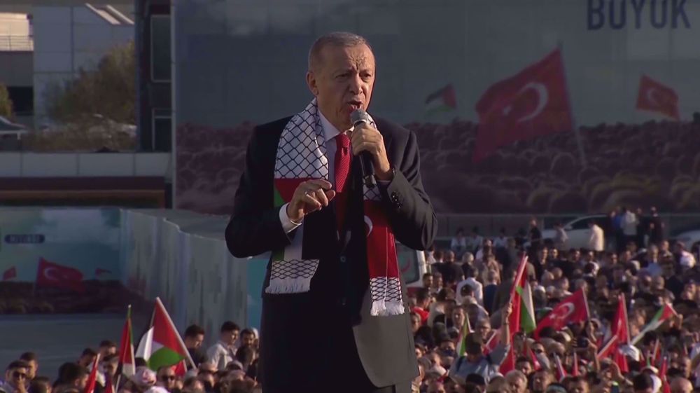 Turkey’s Erdogan tells massive pro-Palestinian rally Israel is war criminal
