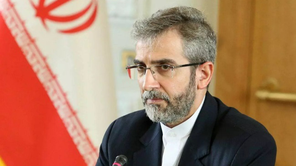 Iran's deputy FM: Israel will be annihilated if war on Gaza expands