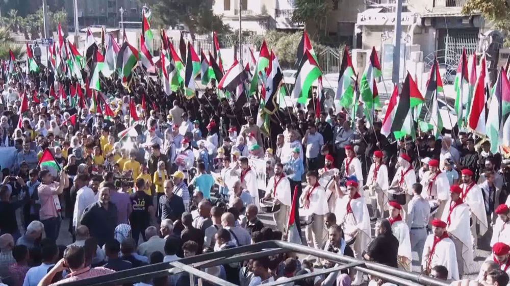 Pro-Palestine rally in Yarmouk camp in Damascus