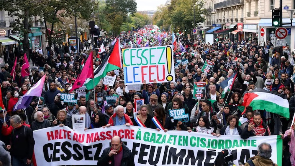 Thousands-strong protests held in Paris, Brussels to call for end to Gaza massacre