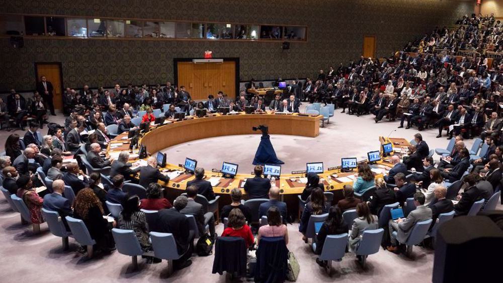 Gaza : le Conseil de sécurité appelle à des pauses humanitaires