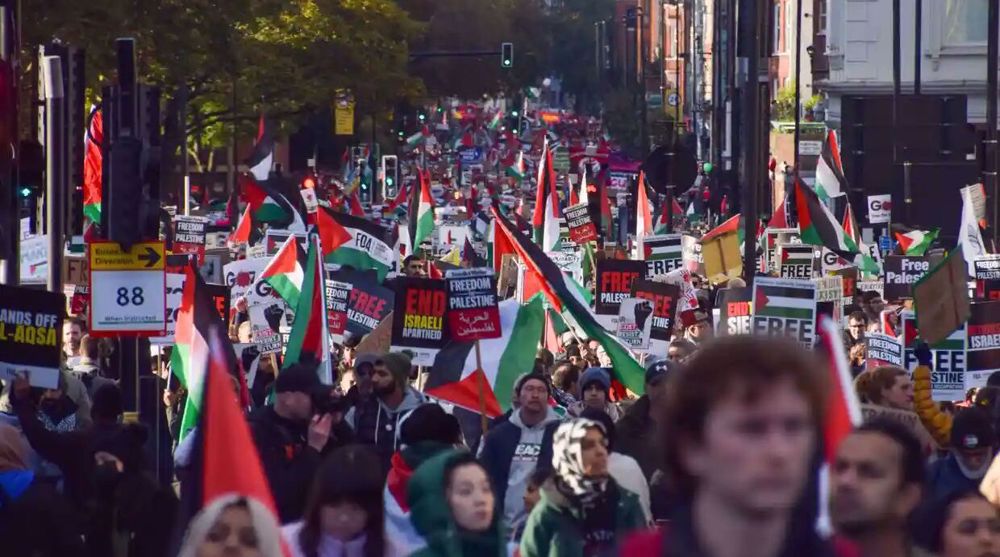 pro palestine rallies