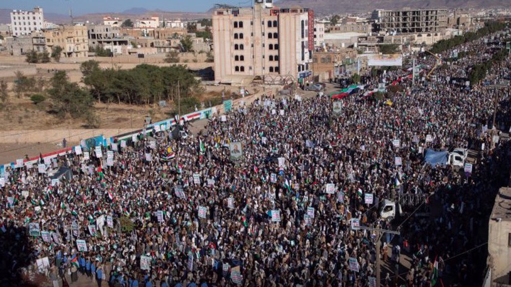 Pro-Palestine rallies held across world as truce takes hold in Gaza