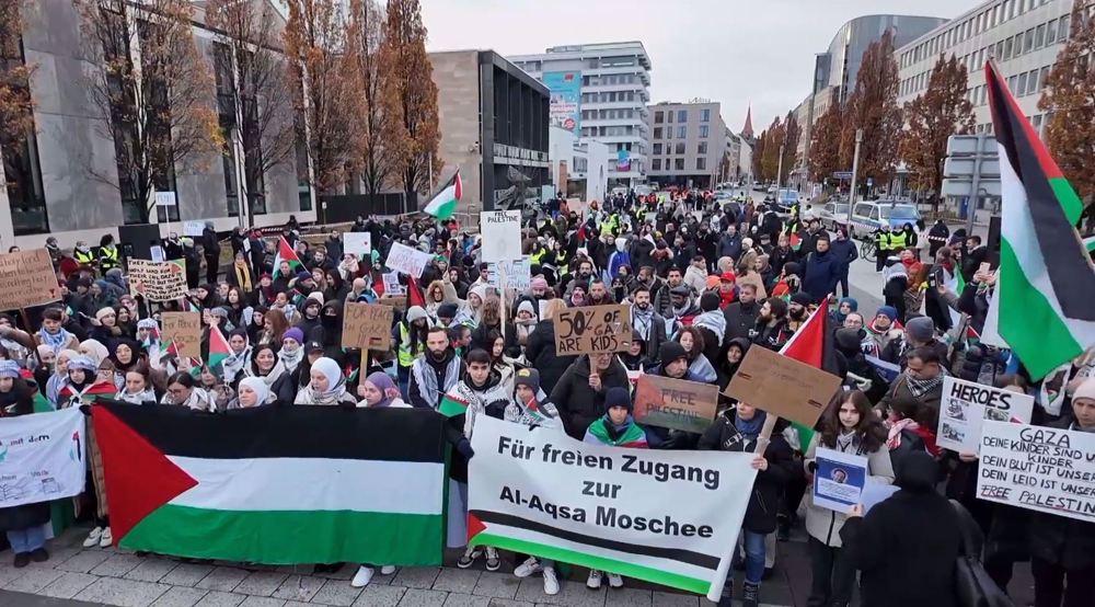 Thousands rally in Nuremberg, demanding permanent Gaza ceasefire