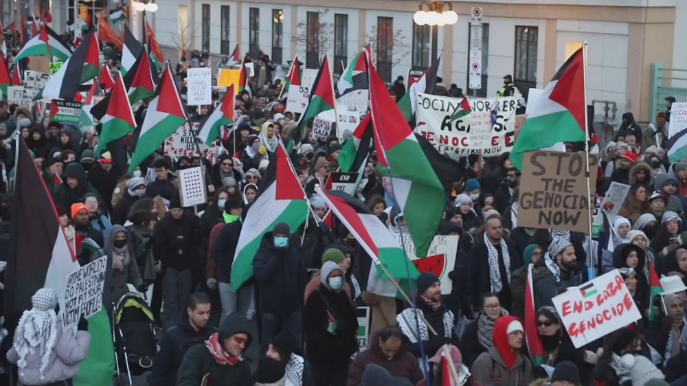 Canadians demonstrate for Palestine outside Parliament Hill