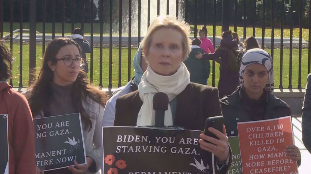 Actress Cynthia Nixon launches hunger strike calling for permanent ceasefire in Gaza
