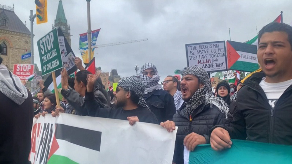 Canadians demonstrate for Palestine