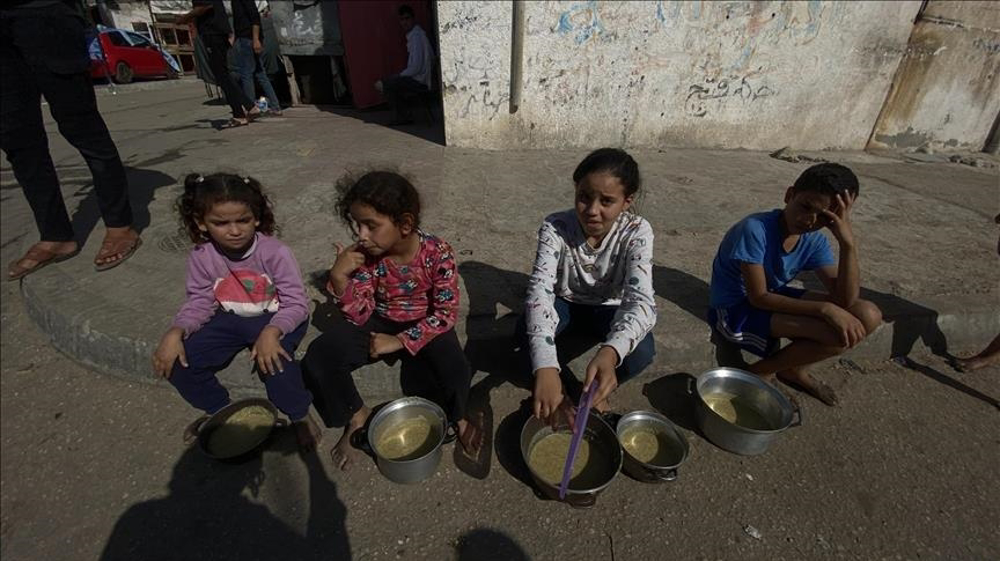 UN agency warns Gaza at risk of famine after Israeli bombardment 