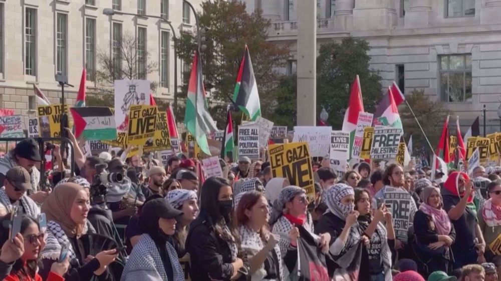 Thousands of pro-Palestinian demonstrators in Washington DC call for ceasefire in Gaza