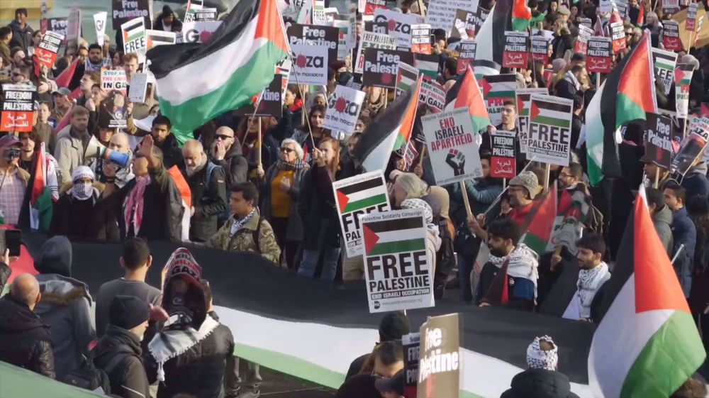 Pro-Palestinian protesters march in major cities to demand Gaza ceasefire