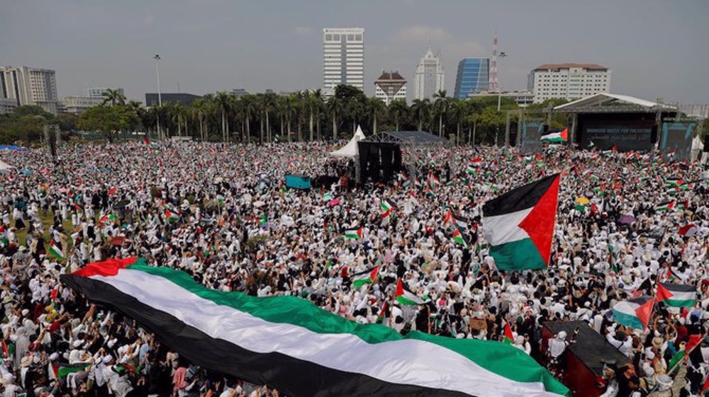 Rallies held in several Muslim countries against Israel's genocide in Gaza