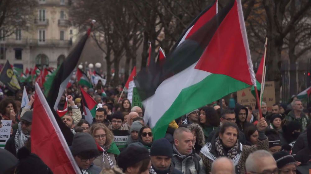 Thousands of pro-Palestine demonstrators march for Gaza ceasefire in Lyon