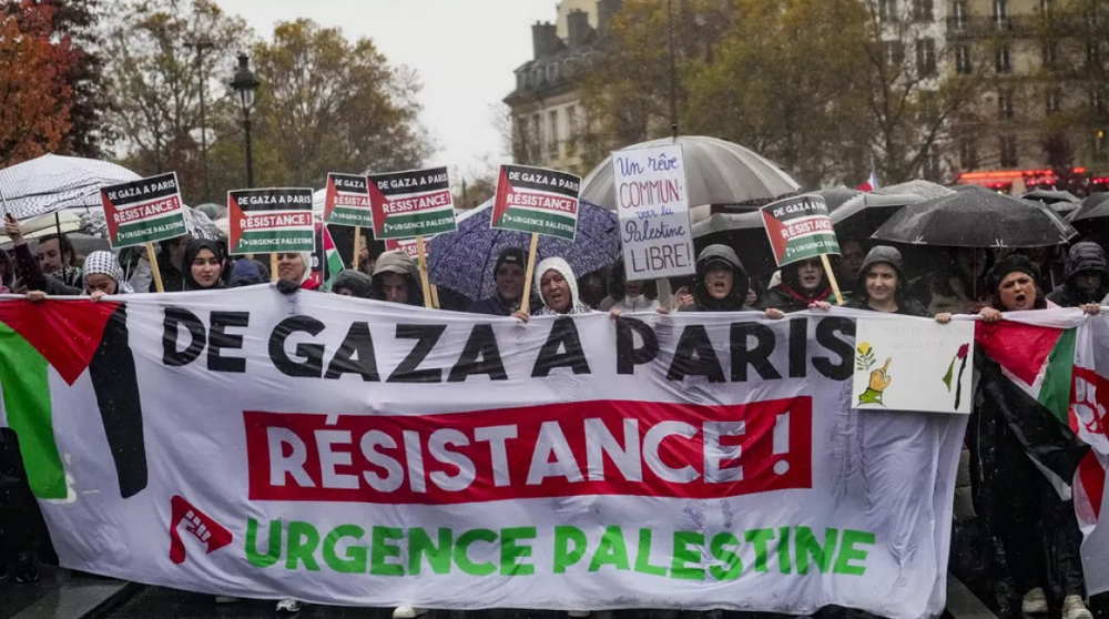 Pro-Palestinian protesters in Paris, Brussels demand end to Gaza genocide
