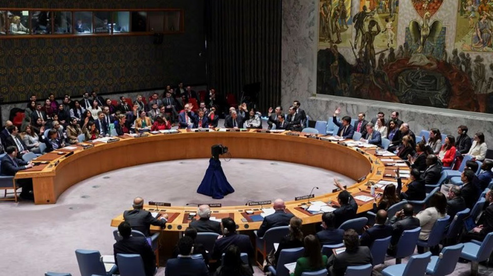Iran: UN resolution on more Gaza aid deliveries 'positive but insufficient'  