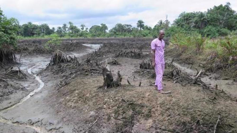 14,000 Nigerians sue Europe's Shell over devastating oil spills