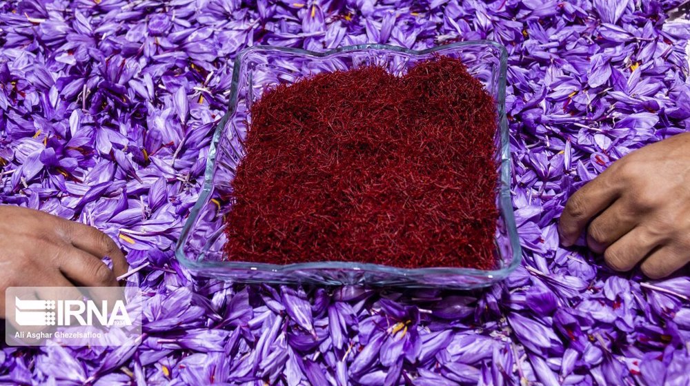 Iran’s saffron exports up 55% in 10 months to January
