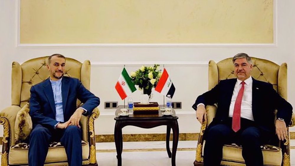 Iran FM hails Iraq’s resumption of its ‘natural’ role in region 