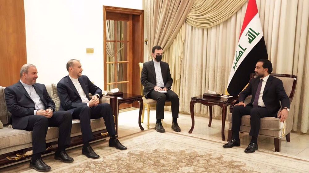Iran FM highlights effective regional cooperation with Iraq