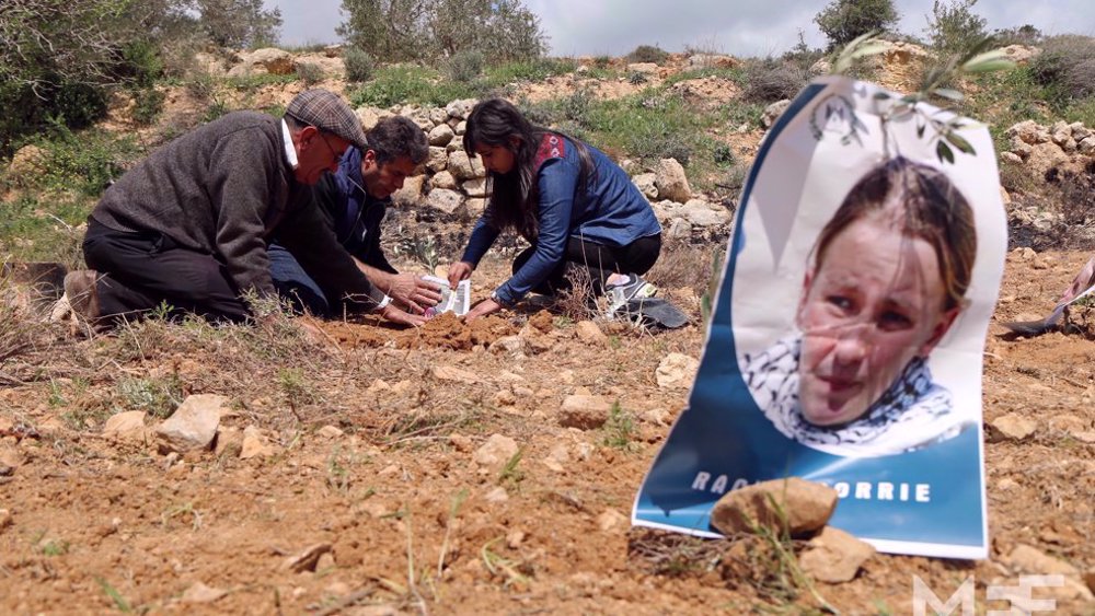 Israël : le 16 mars 2003, un bulldozer du régime écrasait une pro-palestinienne