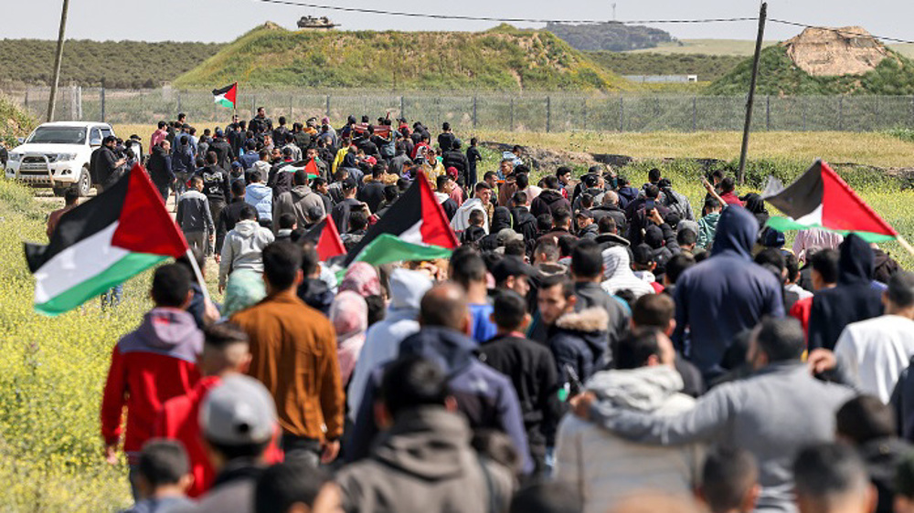 Land Day: Palestinians rally against Israeli theft of their land