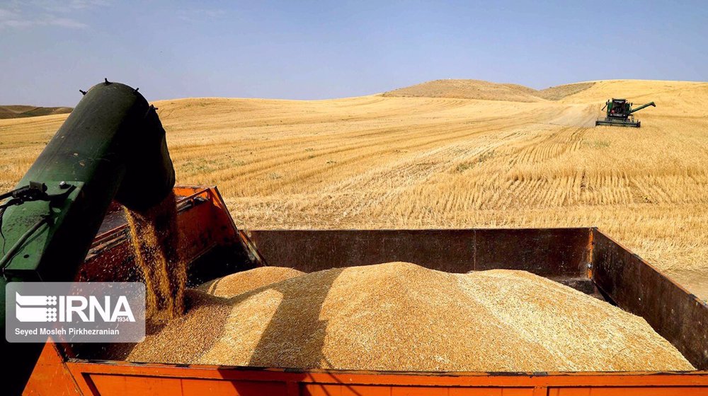 Iran expects domestic wheat purchases to increase by 13%