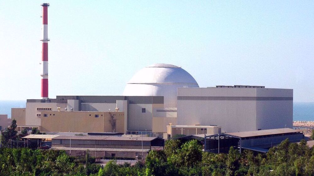 bushehr nuclear plant