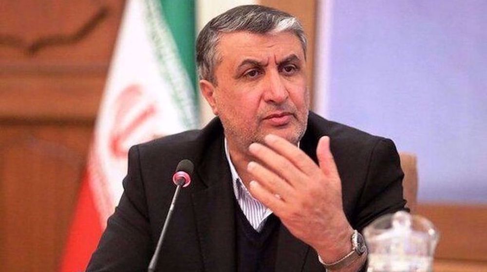 Iran’s achievements in nuclear industry gained under threats, sanctions: Eslami