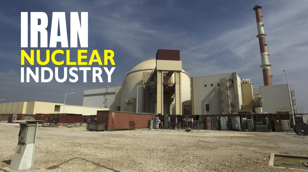 Iran Nuclear Industry