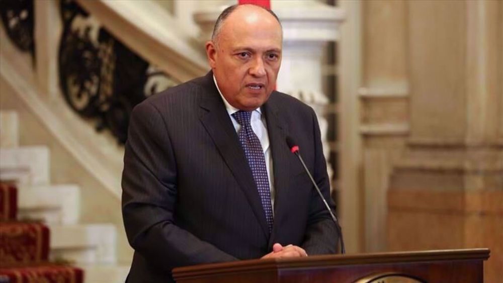 Egypt slams EU for canceling meeting with Arab League over Syria
