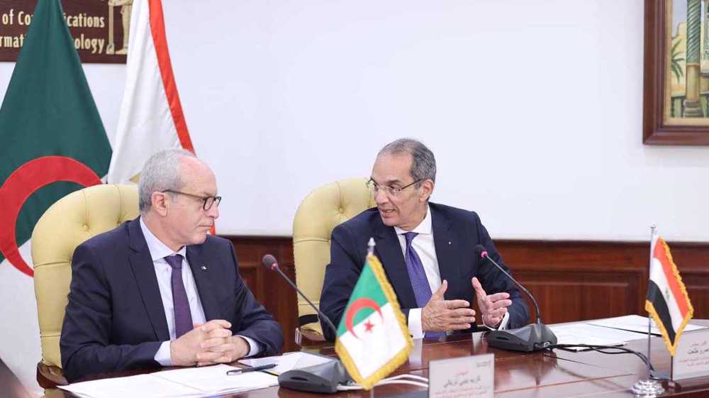L'Egypte et l'Algérie : Vers la construction de deux nouveaux câbles sous-marins