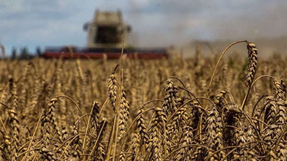 Russia sees 'no prospects' for Ukraine grain deal renewal 