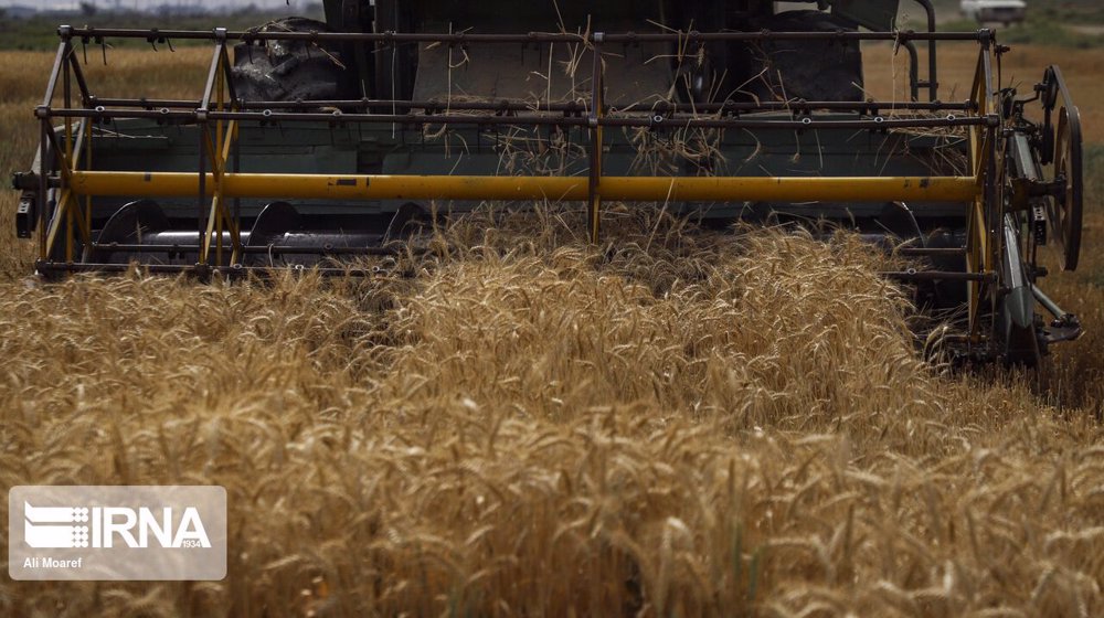 Iran reports 30% rise in wheat purchases in April-June