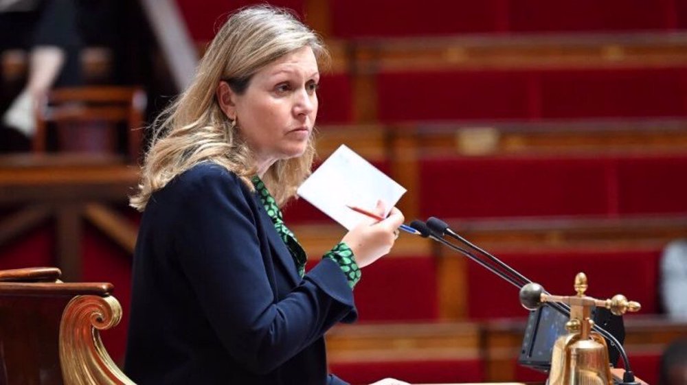 Top French lawmaker denies legislative bid to repeal pension law