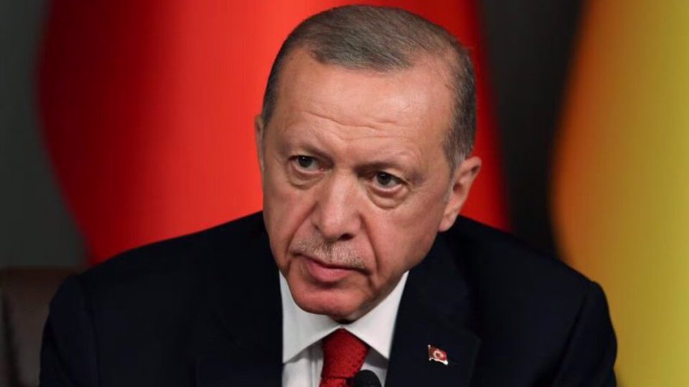 Erdogan: Sweden's NATO membership linked to Turkey's EU accession