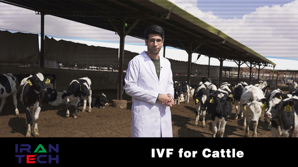 Iran Tech: FIV pour les bovins
