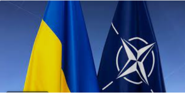 Ukraine NATO bid