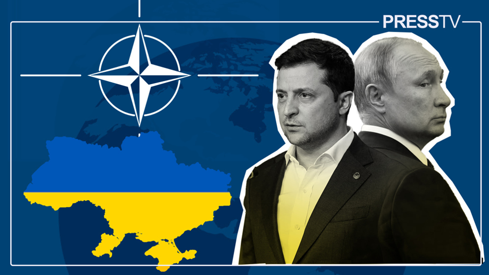 Pourquoi la candidature de l'Ukraine à l'adhésion à l'OTAN n'a pas lieu ? 