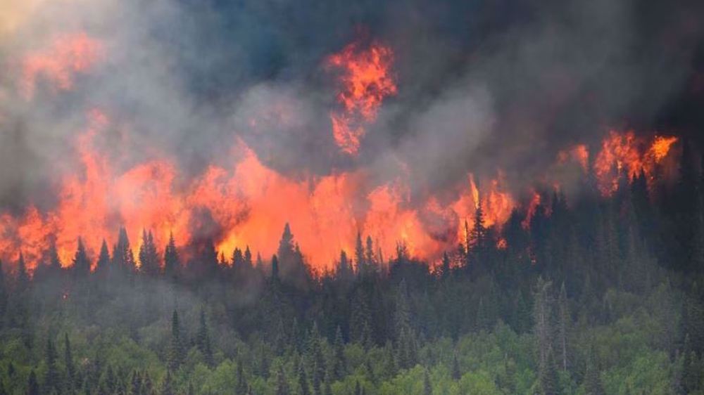Report: Canada wildfires burned over 10mn hectares this year