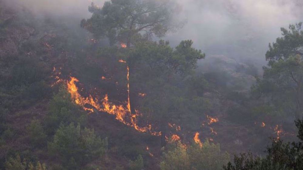 Thousands evacuated to safety as wildfires rage on Greek island of Rhodes